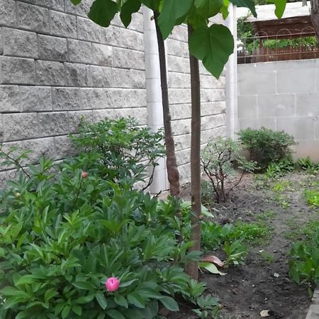 Guest House Odessa Phòng bức ảnh